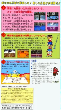 Kunio-kun no Dodge Ball Da yo Zenin Shuugou! (Japan) box cover back